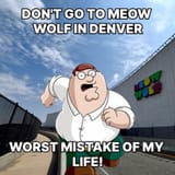 Meow Wolf