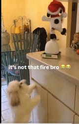 not that fire
