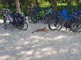IMG_20250724_150753_1