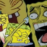 spongekek