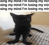 im-losing-my-mind