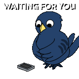 crow-waiting