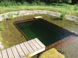 Pond-Margaret-Shea-1