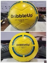 flerf-volleyball
