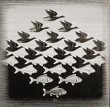 negative-space-2DT1