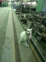 workshop_kot