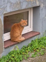 IMG-20250731-WA0007