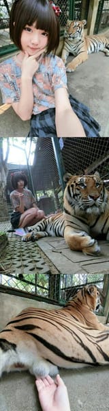 gentle_with_big_kot