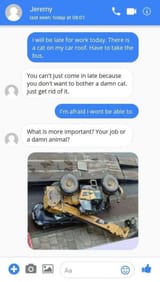 cat_on_a_roof