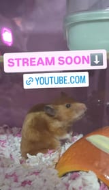 Screenshot_20250801_180146_Instagram