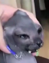 1739998091823810