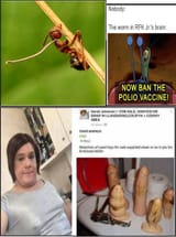 brain parasites