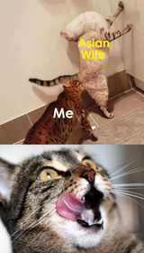 1725697103447715