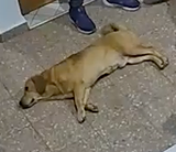 1724270807133413