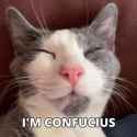 iam-confucius-confucius_thumb.jpg