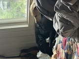 IMG_1705