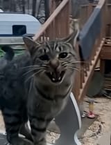 Screenshot_20250718_185037_YouTube