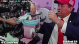 miku inspection