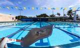 poolstem