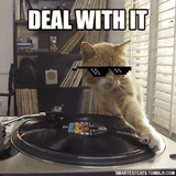 cat-record-scratch