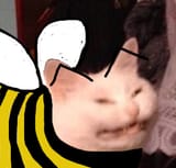 1690899582305197