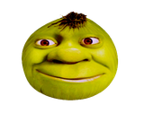 shrek mfw