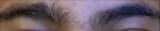 unibrow