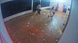 thefight