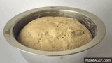 yeast