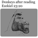 6fysecvb40h71