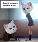 1708699686498645