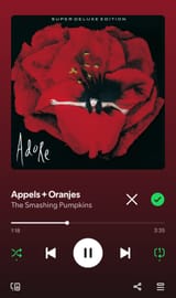 Screenshot_20250805_131948_Spotify