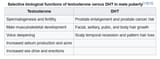Screenshot 2025-08-07 at 12-59-30 Dihydrotestosterone - Wikipedia
