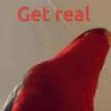 get-real-parrot_thumb.jpg