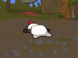 bear flip