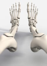skeletons-feet-artwork-david-mack