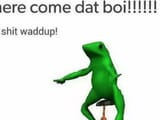 dat boi