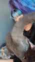 367547_thumb.jpg