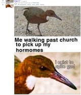 things that never happened