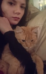 Bitsy 🦋_He likes to be a teddy bear sometimes_1887739316366921966_photo-2