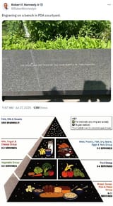 fda_food_pyramid_1