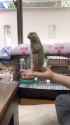 prairie dog stabilizer_thumb.jpg