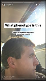 cole_phenotype