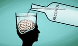 brain