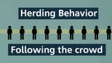 Herd Behavior