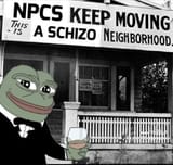schizoneighbour