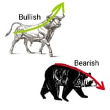 bull-bear