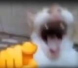 you