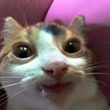 1586017946747