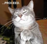 proceed